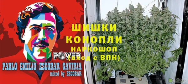 винт Алексин
