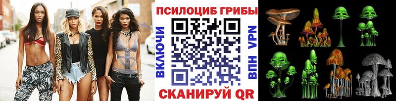 Псилоцибиновые грибы Cubensis  Тосно 