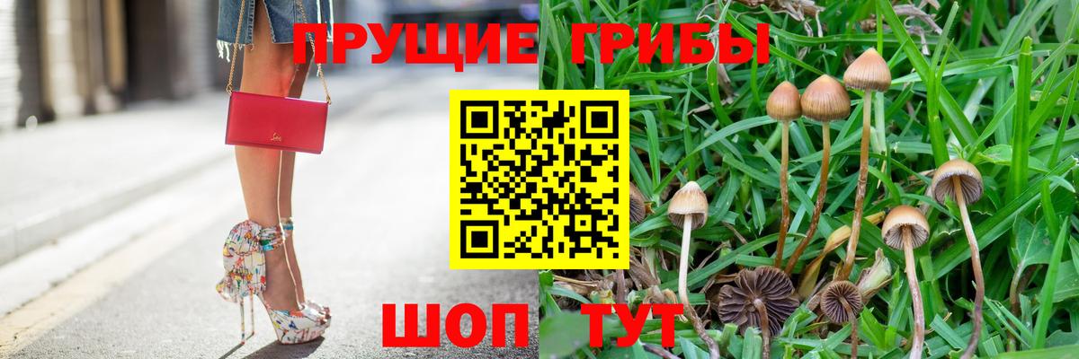 Псилоцибиновые грибы Psilocybe  даркнет сайт  Тосно  Вход с VPN 